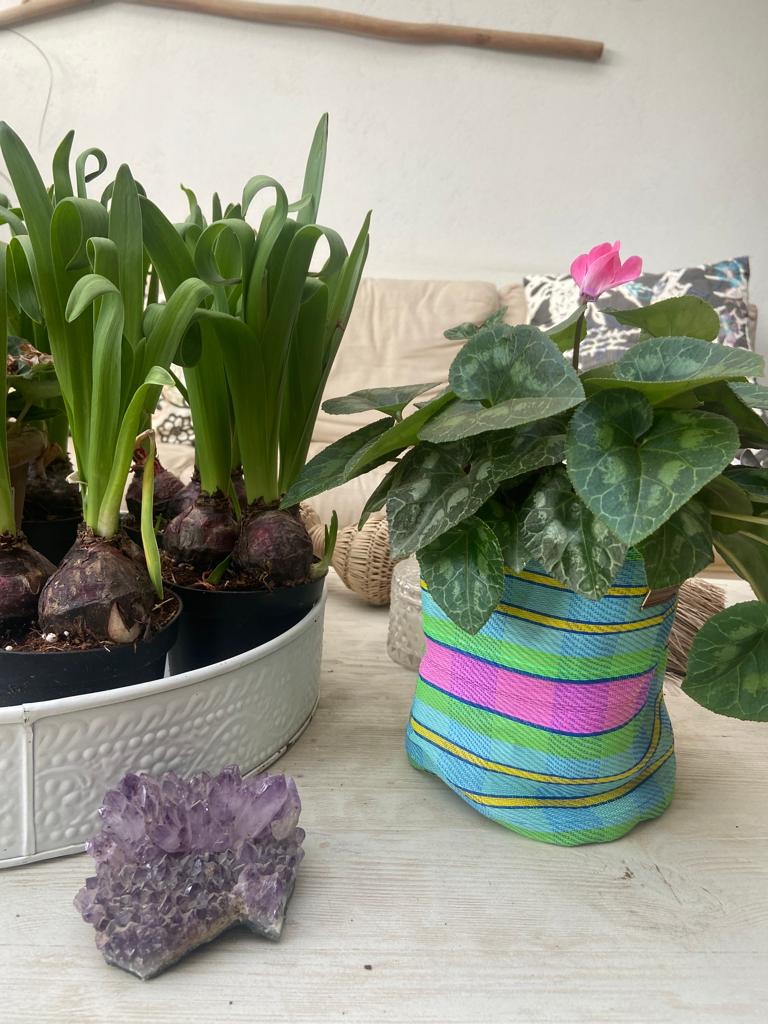 Small Planter - Checkered