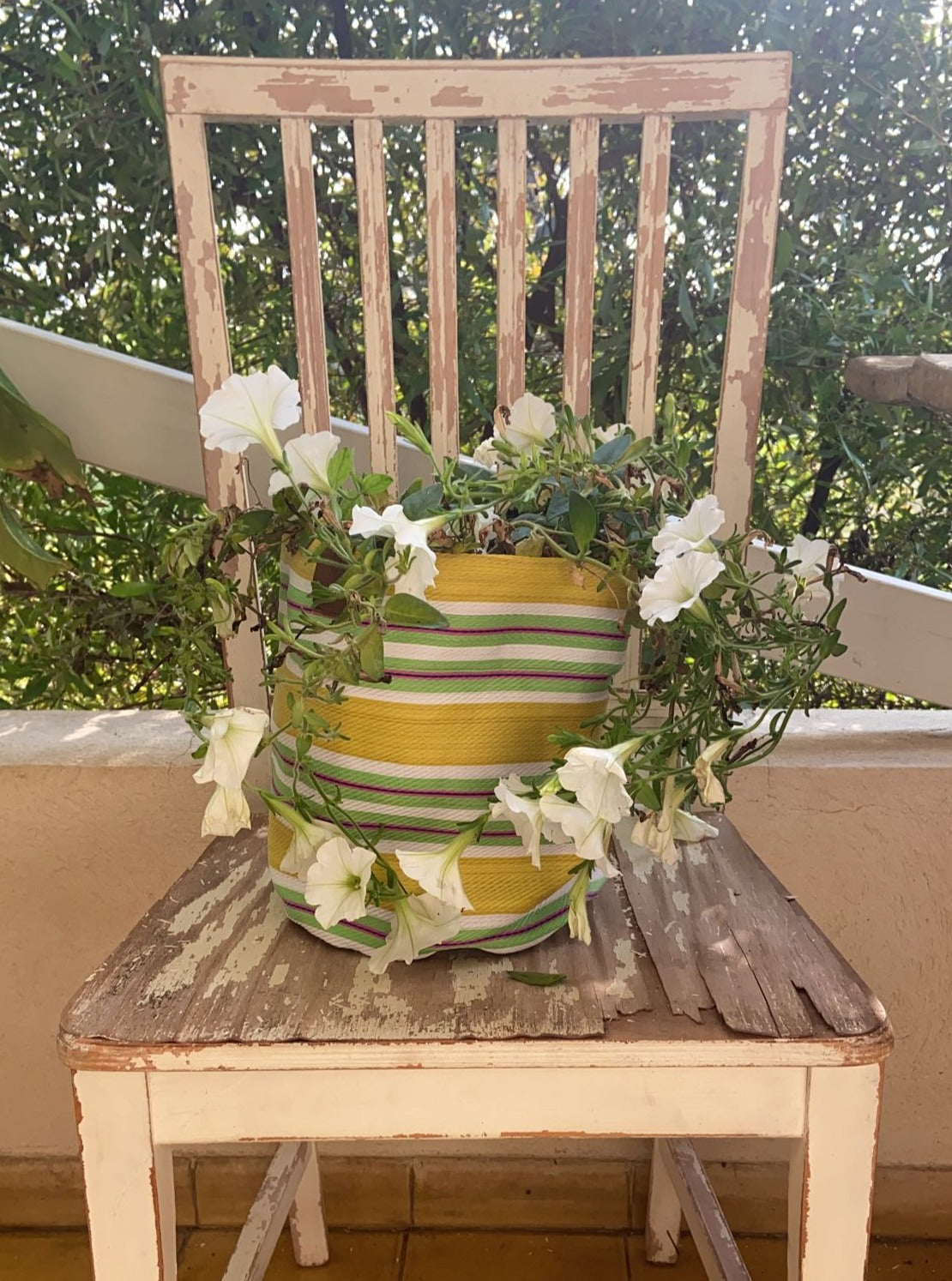 Large Planter - Lemon