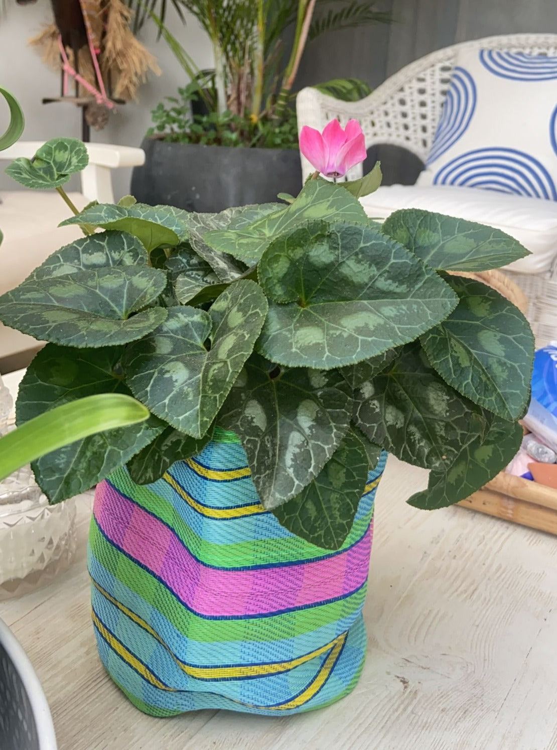 Small Planter - Chekered