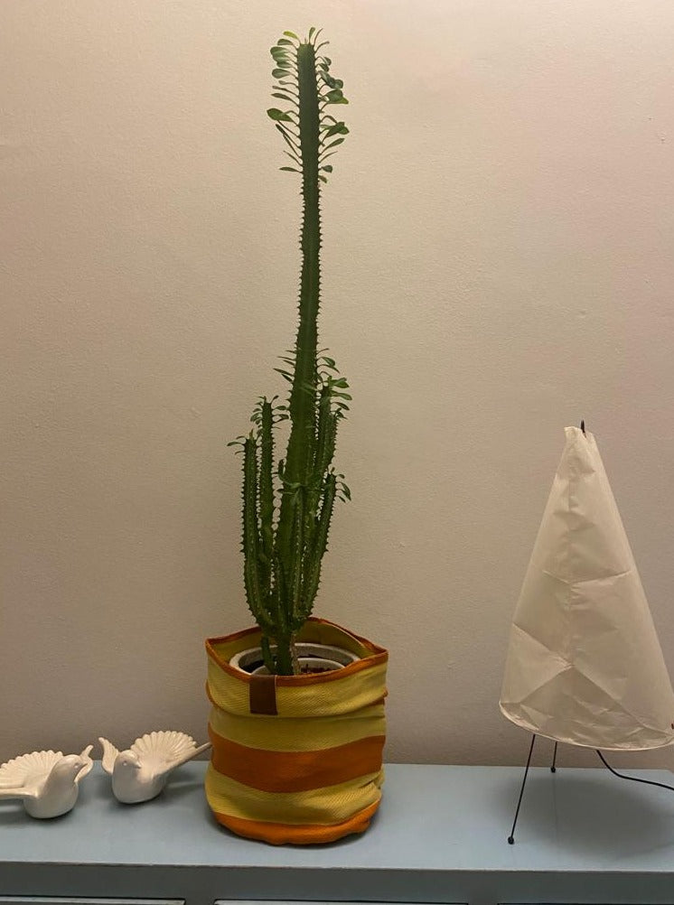 Large Planter - Terra