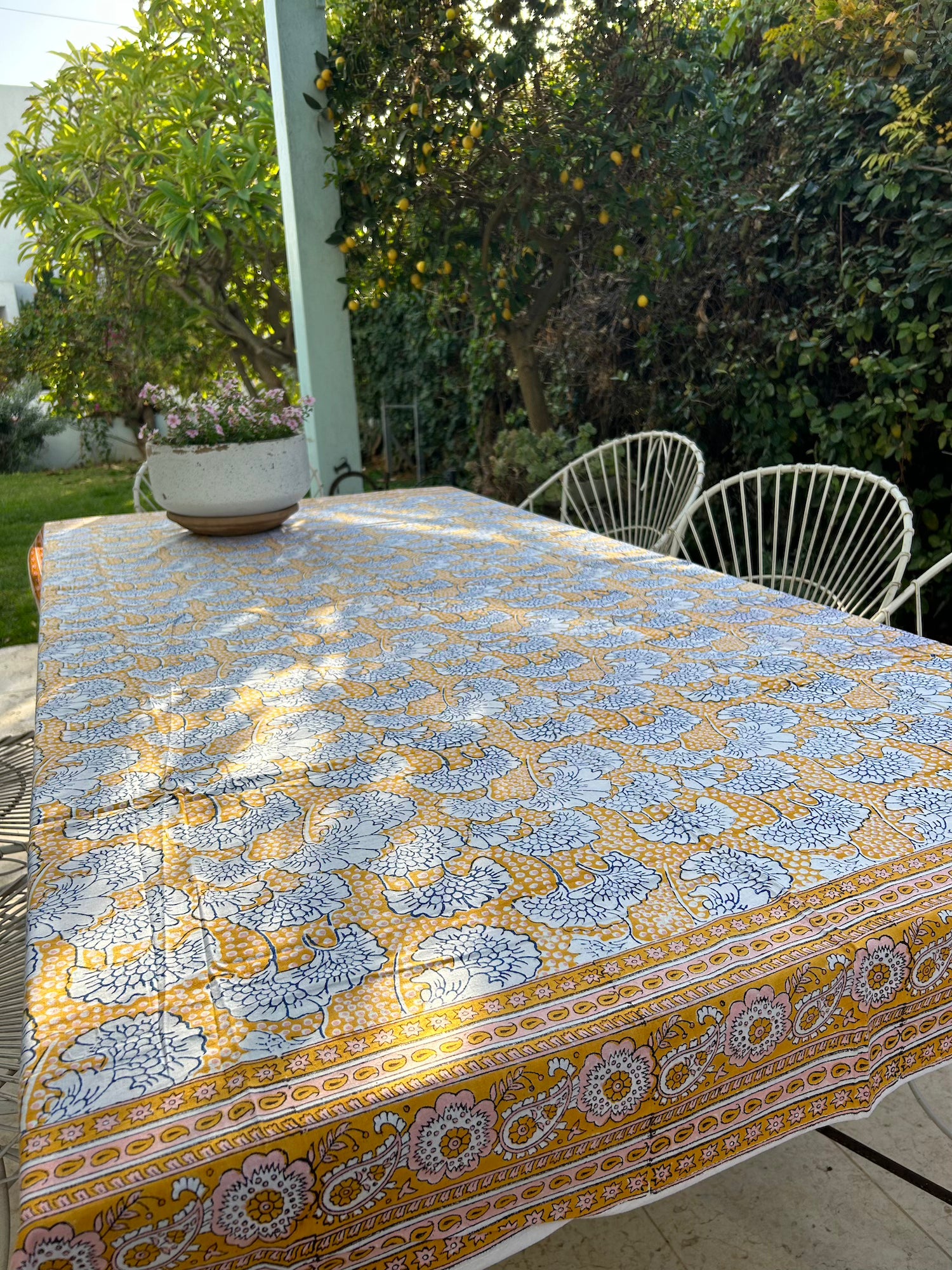 Yellow Papyrus