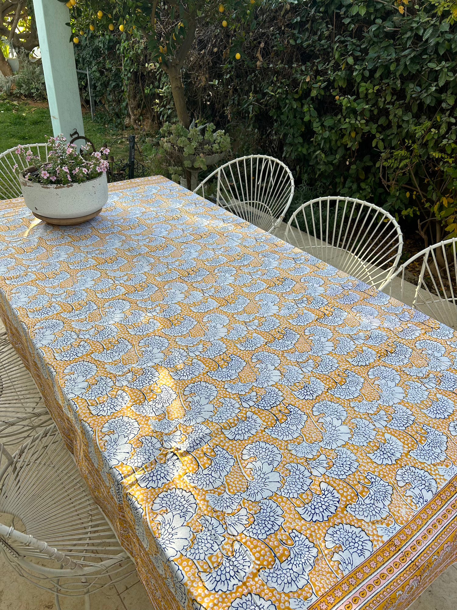 Yellow Papyrus