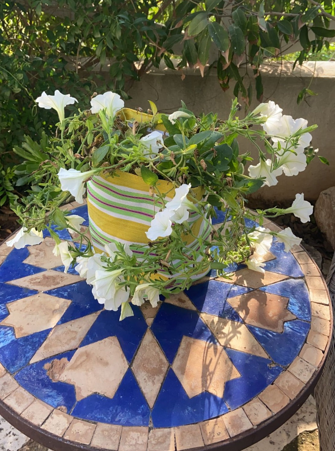 Large Planter - Lemon